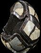 Septarian Dragon Egg Geode - Black Crystals #54541-2